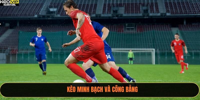 Cách Ra Kèo Nhà Cái – Phân Tích Và Bí Quyết Để Thắng Lớn 3 Kèo minh bạch và công bằng