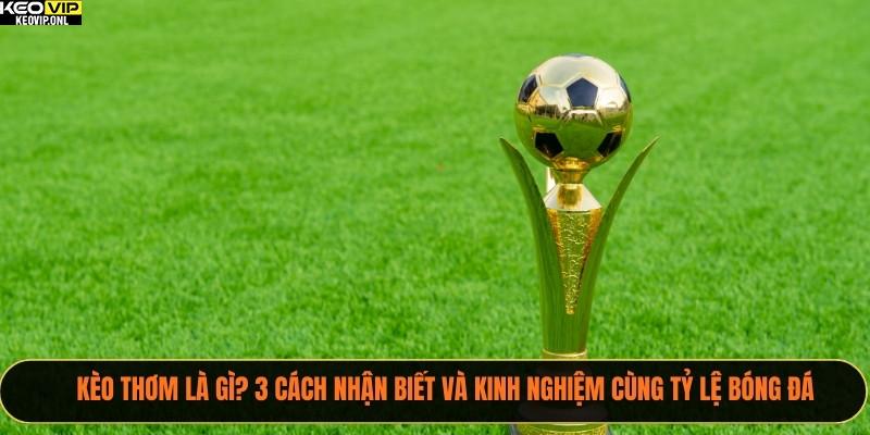 Kèo Thơm Là Gì? 3 Cách Nhận Biết Và Kinh Nghiệm Cùng Tỷ Lệ Bóng Đá 7 kèo thơm