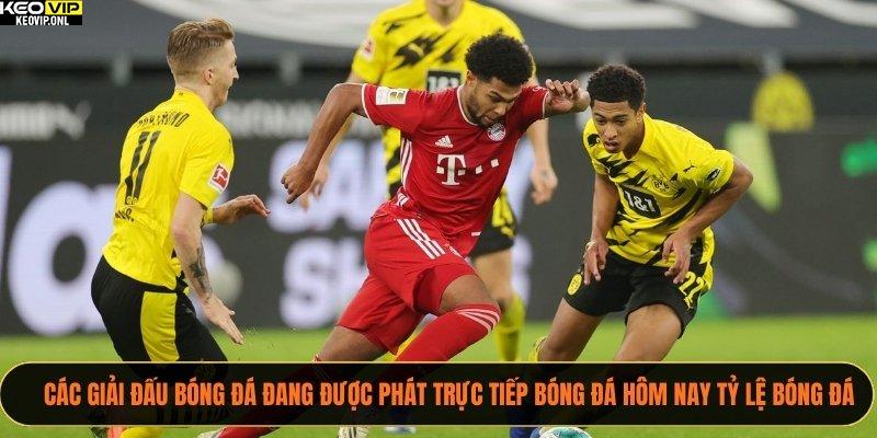 Theo Dõi Trực Tiếp Bóng Đá Hôm Nay Tỷ Lệ Bóng Đá 100% 5 Các giải đấu bóng đá đang được phát trực tiếp bóng đá hôm nay Tỷ Lệ Bóng Đá