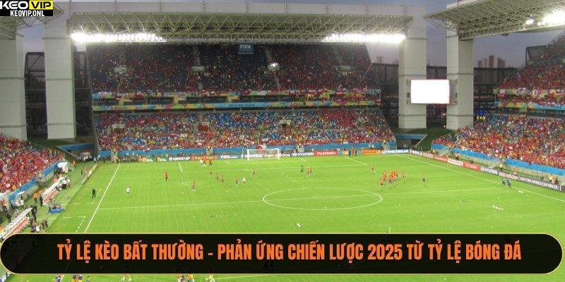 Tỷ Lệ Kèo Bất Thường – Phản Ứng Chiến Lược 2025 Từ Tỷ Lệ Bóng Đá 6 Tỷ lệ kèo bất thường