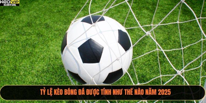 Tỷ Lệ Kèo Bóng Đá Được Tính Như Thế Nào Năm 2025 1 Tỷ Lệ Kèo Bóng Đá Được Tính Như Thế Nào