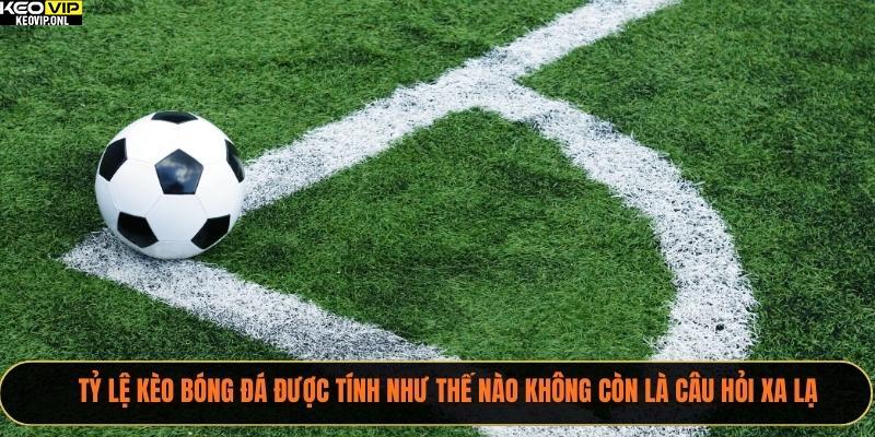 Tỷ Lệ Kèo Bóng Đá Được Tính Như Thế Nào Năm 2025 2 Tỷ lệ kèo bóng đá được tính như thế nào không còn là câu hỏi xa lạ