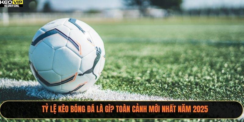 Tỷ Lệ Kèo Bóng Đá Là Gì? Toàn Cảnh Mới Nhất Năm 2025 7 tỷ lệ kèo bóng đá là gì