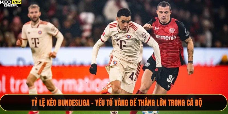 Tỷ Lệ Kèo Bundesliga - Yếu Tố Vàng Để Thắng Lớn Trong Cá Độ 5 Tỷ Lệ Kèo Bundesliga