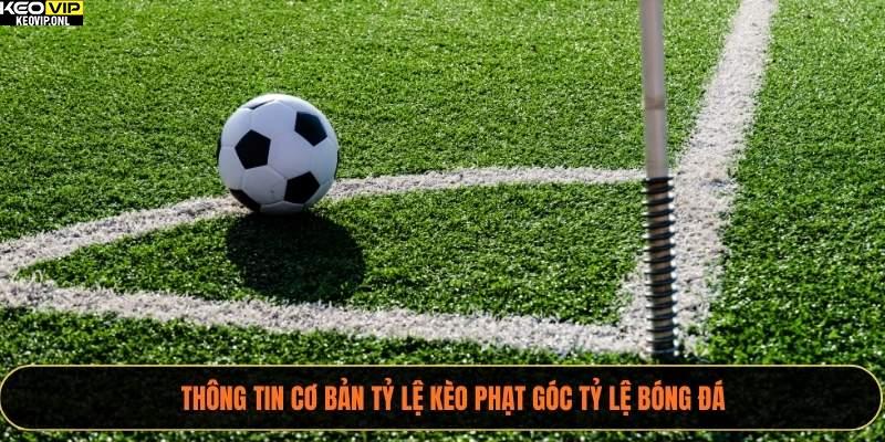Tỷ Lệ Kèo Phạt Góc 2025 Cùng Cách Chơi Chi Tiết 2 Thông tin cơ bản tỷ lệ kèo phạt góc Tỷ Lệ Bóng Đá
