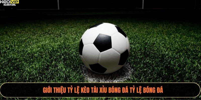 Tỷ Lệ Kèo Tài Xỉu Uy Tín - Hướng Dẫn Soi Kèo Chắc Thắng 2025 2 Giới thiệu tỷ lệ kèo tài xỉu bóng đá Tỷ Lệ Bóng Đá
