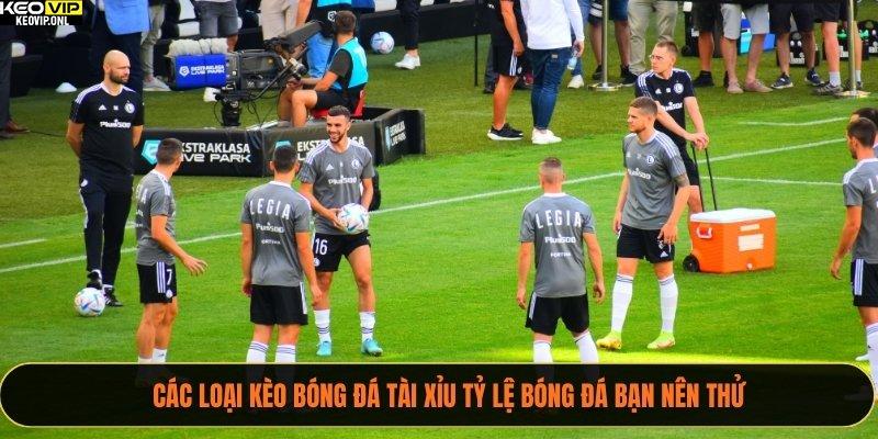 Tỷ Lệ Kèo Tài Xỉu Uy Tín - Hướng Dẫn Soi Kèo Chắc Thắng 2025 3 Các loại kèo bóng đá tài xỉu Tỷ Lệ Bóng Đá bạn nên thử